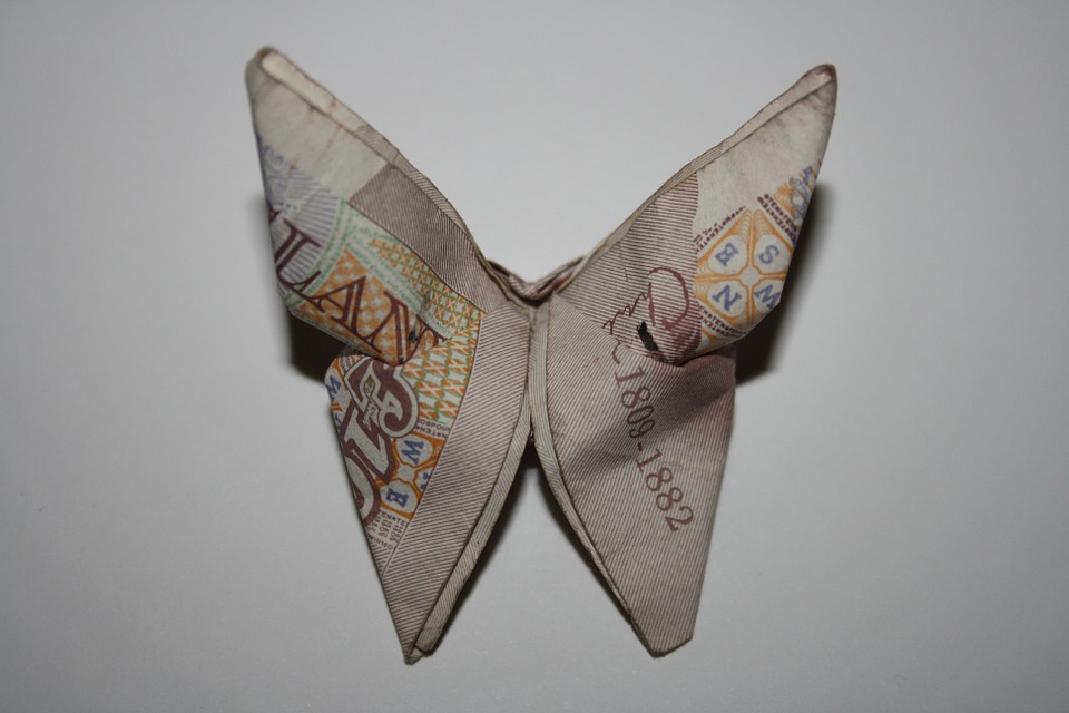 motýl z bankovky